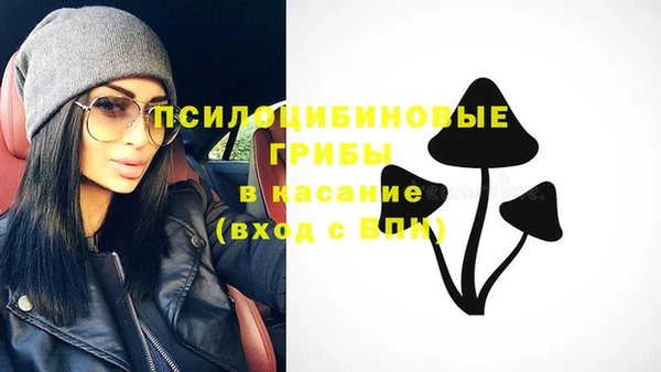 не бодяженный Медвежьегорск