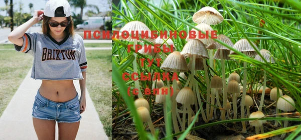не бодяженный Медвежьегорск